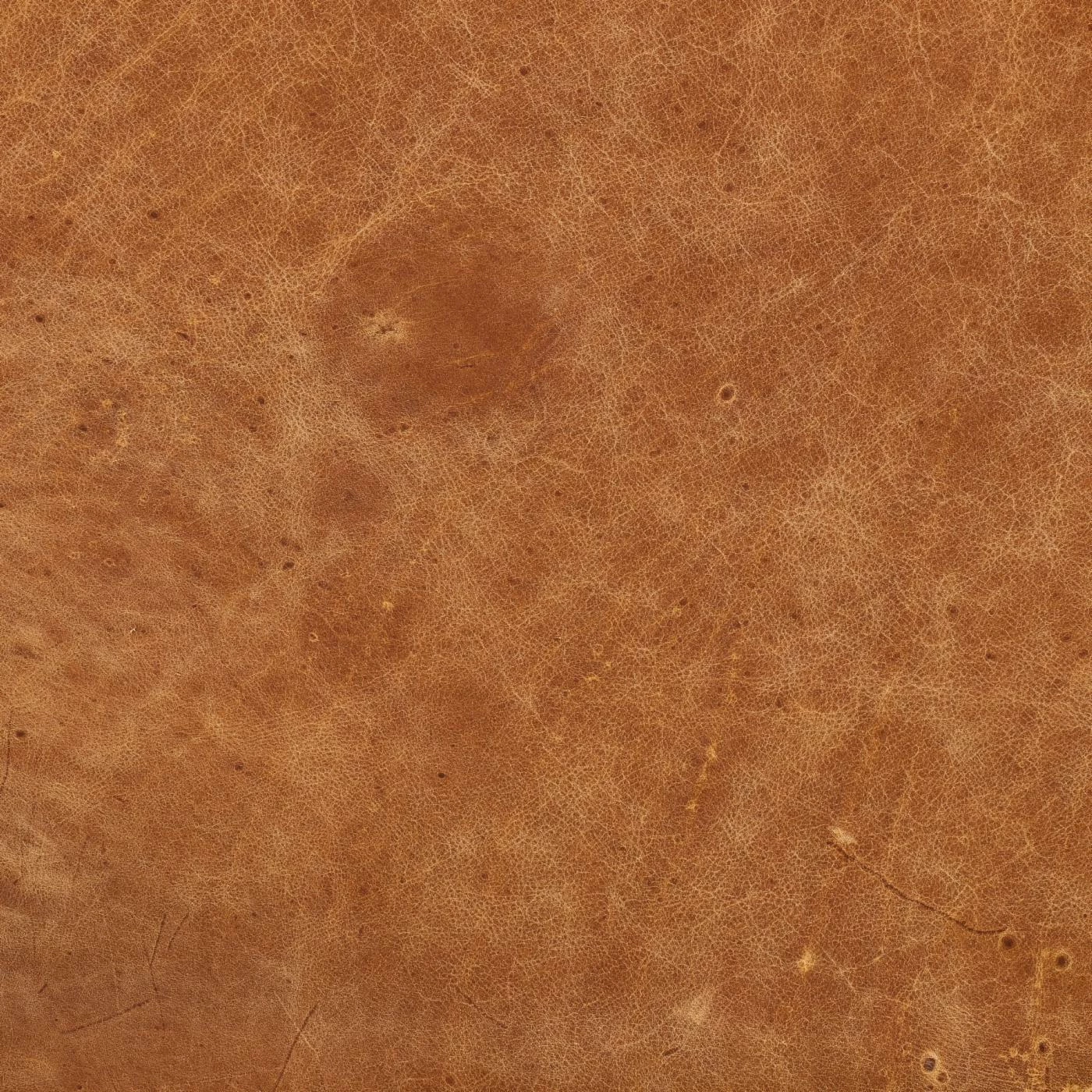 Discount ๐ฅฐ Poly & Bark Club Chairs Poly & Bark Lyon Club Chair ๐ฏ - Image 4