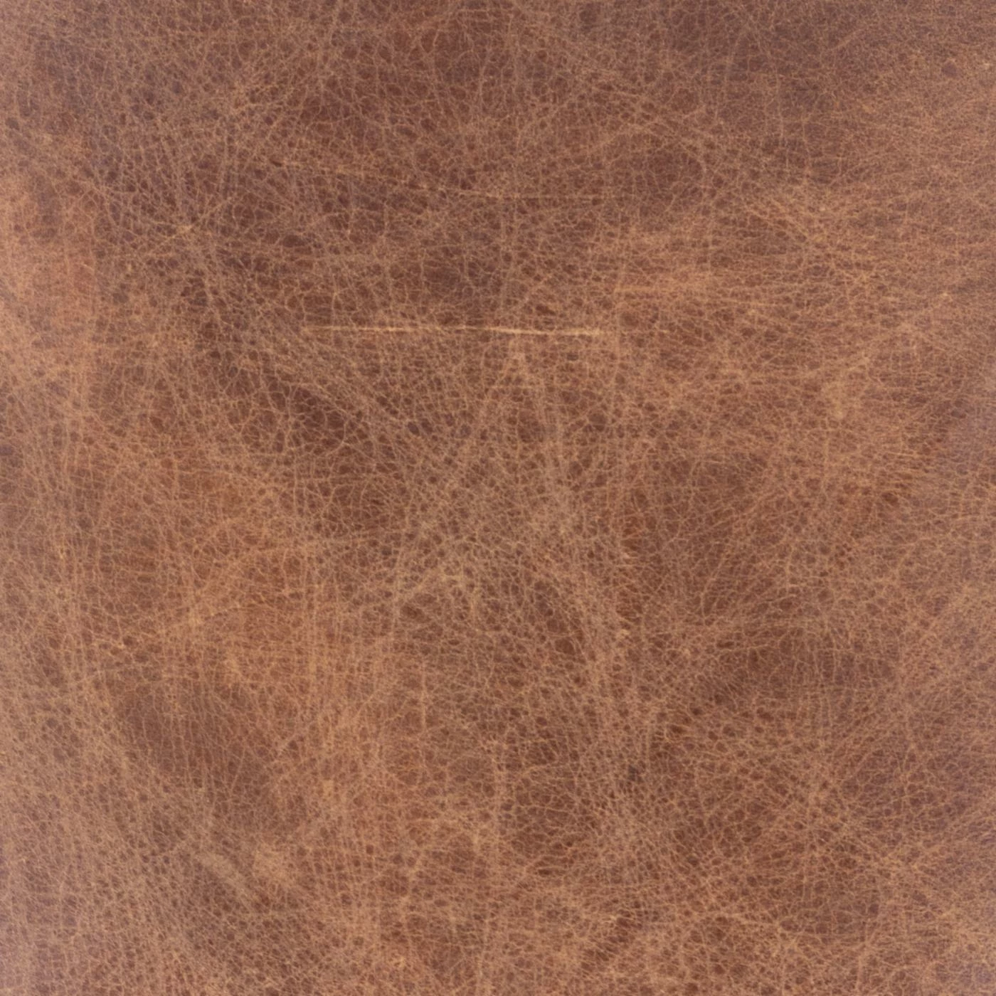 Coupon ๐ Moes Home Collection Arm Chairs Moe's Home Collection Carlisle Leather Arm Chair - Light Brown ๐ - Image 8