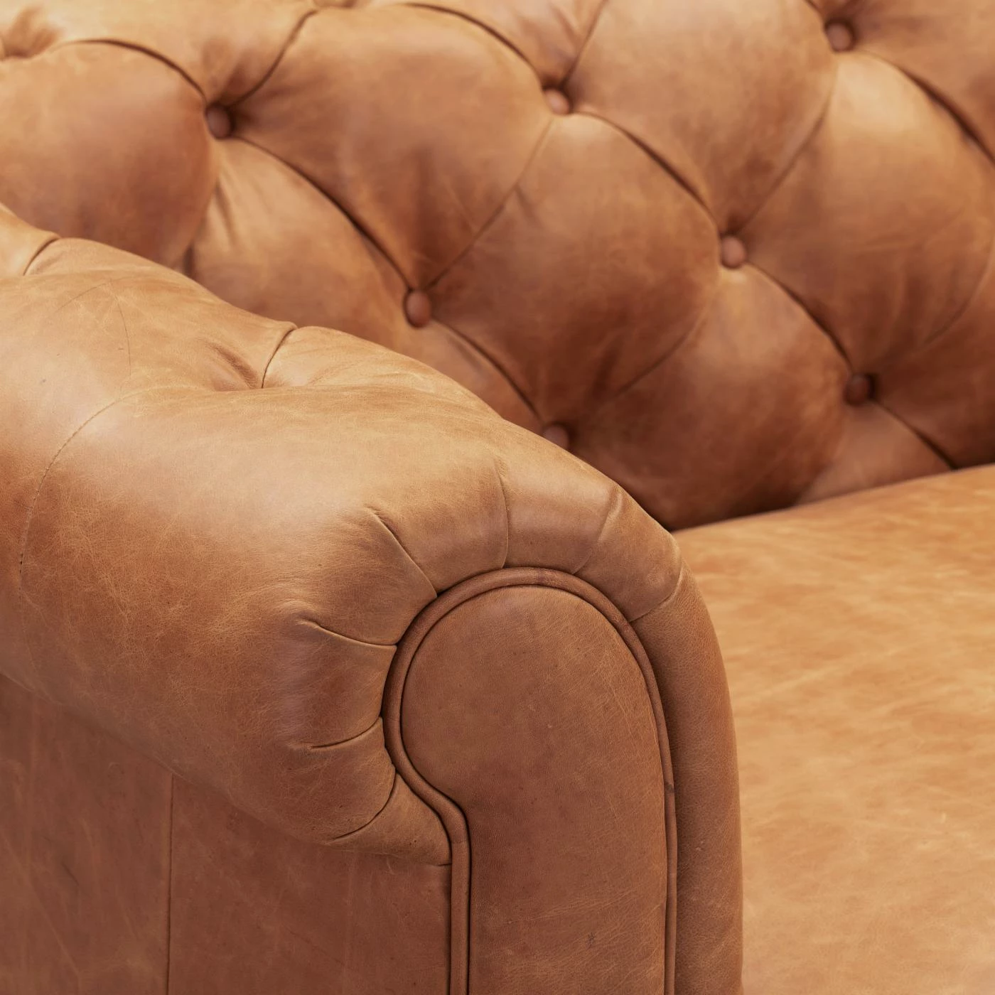 Discount ๐ฅฐ Poly & Bark Club Chairs Poly & Bark Lyon Club Chair ๐ฏ - Image 9