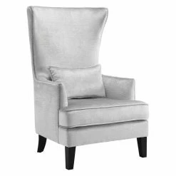 Cheapest 🧨 Arm Chairs TOV Furniture Bristol Tall Chair - Silver 😀