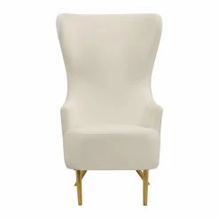 Best reviews of ๐ฅ Wingback Chairs TOV Furniture Julia Wingback Accent Chair โญ